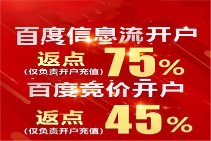 探索百度竞价代理的未来发展趋势与挑战